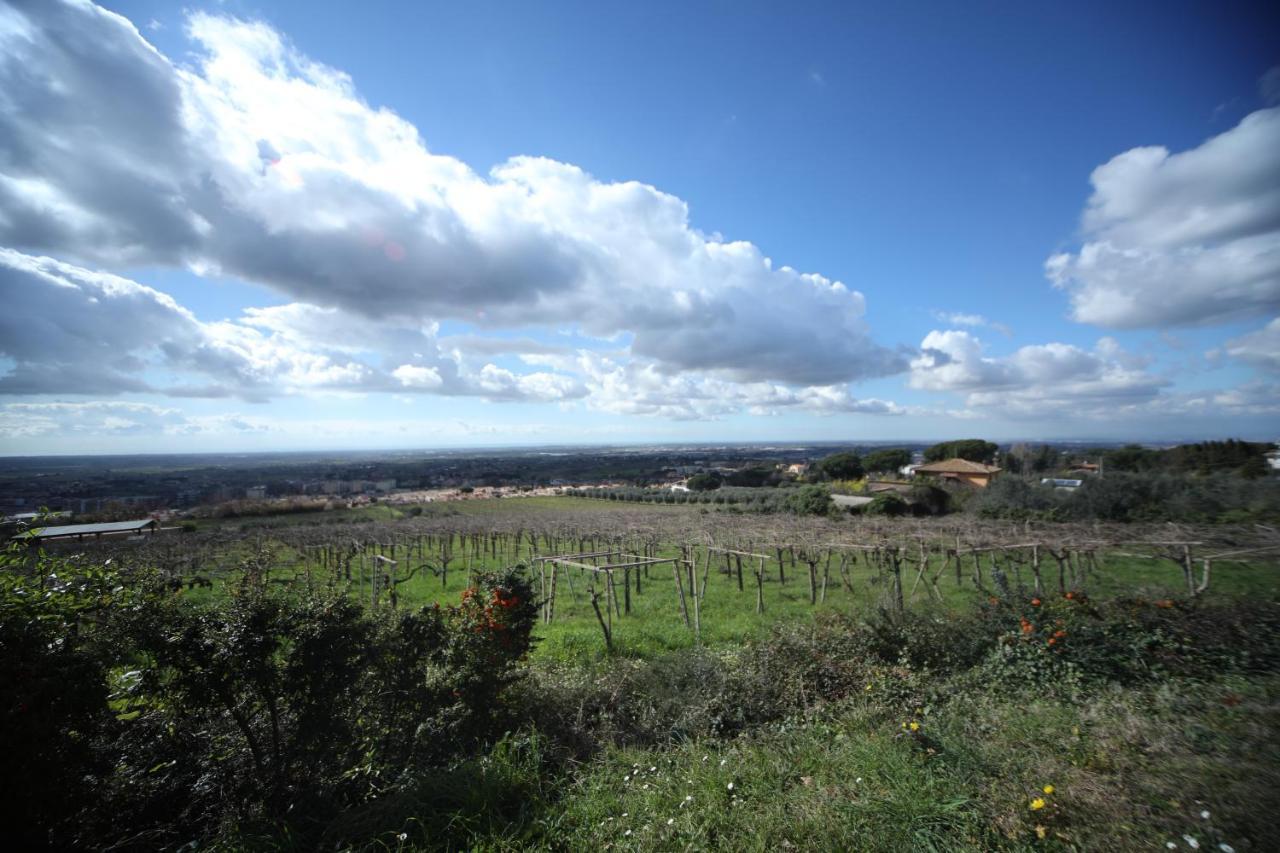 Farm stay La Vista Boutique Ariccia
