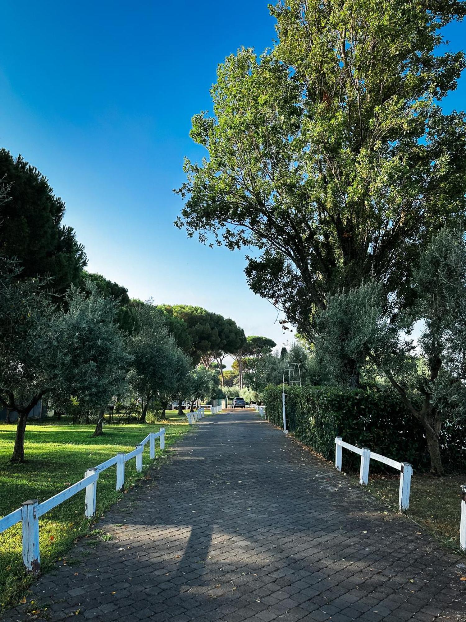 La Vista Agriturismo Boutique Alloggio per agriturismo Ariccia